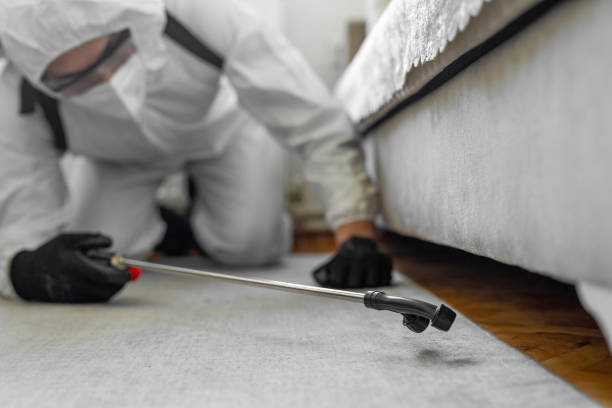 Professional Termite Control technician working in Nambe, NM