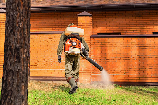 Trusted Cockroach Control service in Nambe, NM - Nex Pest Control
